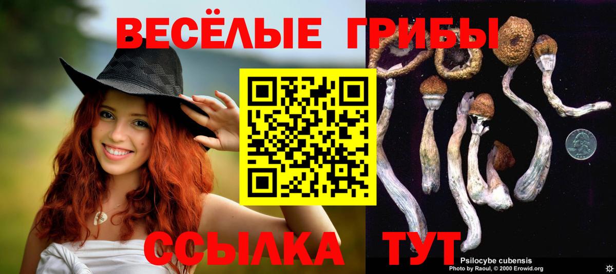 Люберцы  Псилоцибиновые грибы Psilocybe  Вход с VPN 
